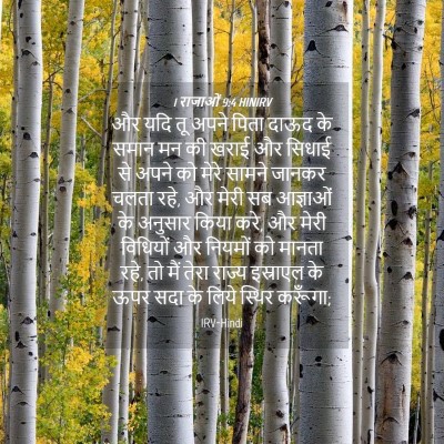 Picture 04 - 1 राजाओं 9:4 HINIRV - और यदि तू अपने पिता - Bible Verse Picture