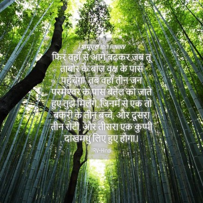 Picture 04 - 1 शमूएल 10:3 HINIRV - फिर वहाँ से आगे - Bible Verse Picture