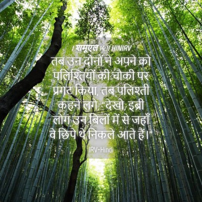 Picture 04 - 1 शमूएल 14:11 HINIRV - तब उन दोनों ने अपने - Bible Verse Picture