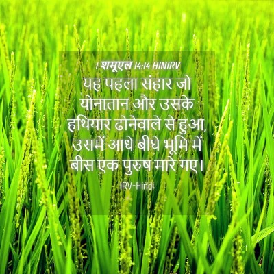 Picture 04 - 1 शमूएल 14:14 HINIRV - यह पहला संहार जो - Bible Verse Picture