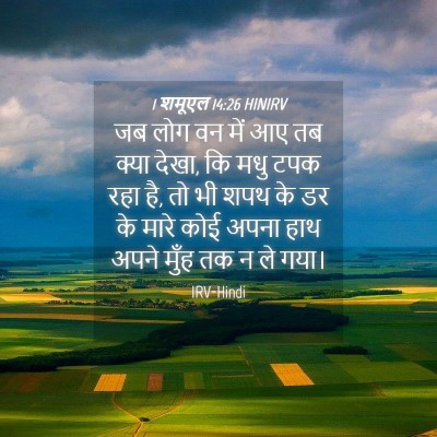Picture 04 - 1 शमूएल 14:26 HINIRV - जब लोग वन में आए तब - Bible Verse Picture