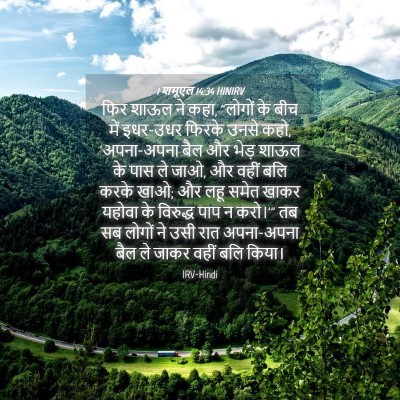 Picture 04 - 1 शमूएल 14:34 HINIRV - फिर शाऊल ने कहा, - Bible Verse Picture