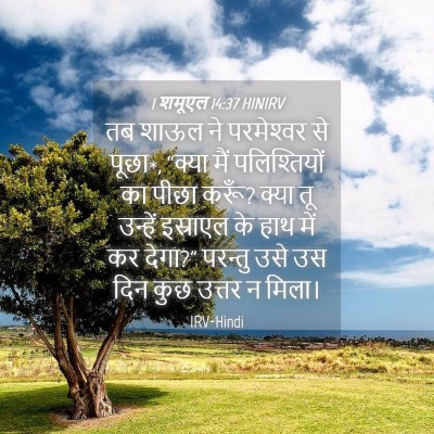 Picture 04 - 1 शमूएल 14:37 HINIRV - तब शाऊल ने - Bible Verse Picture
