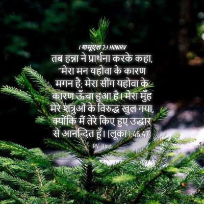 Picture 04 - 1 शमूएल 2:1 HINIRV - तब हन्ना ने - Bible Verse Picture