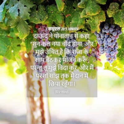 Picture 04 - 1 शमूएल 20:5 HINIRV - दाऊद ने योनातान से - Bible Verse Picture