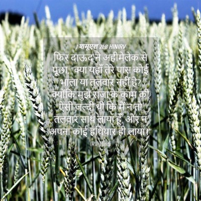 Picture 04 - 1 शमूएल 21:8 HINIRV - फिर दाऊद ने - Bible Verse Picture