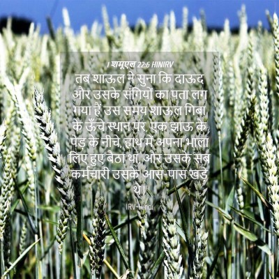 Picture 04 - 1 शमूएल 22:6 HINIRV - तब शाऊल ने सुना कि - Bible Verse Picture