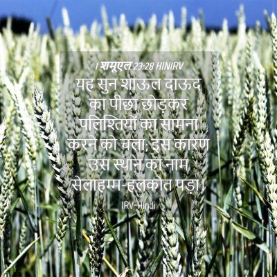 Picture 04 - 1 शमूएल 23:28 HINIRV - यह सुन शाऊल दाऊद का - Bible Verse Picture