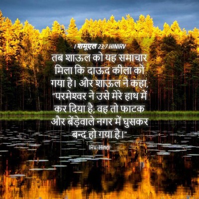 Picture 04 - 1 शमूएल 23:7 HINIRV - तब शाऊल को यह - Bible Verse Picture