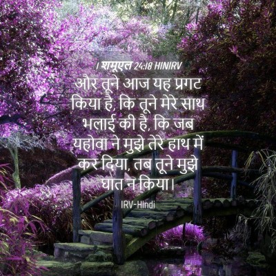 Picture 04 - 1 शमूएल 24:18 HINIRV - और तूने आज यह प्रगट - Bible Verse Picture
