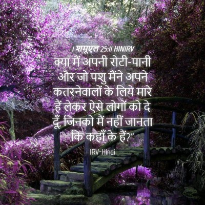 Picture 04 - 1 शमूएल 25:11 HINIRV - क्या मैं अपनी - Bible Verse Picture