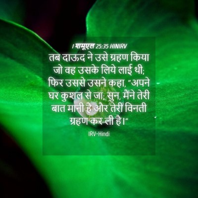 Picture 04 - 1 शमूएल 25:35 HINIRV - तब दाऊद ने उसे - Bible Verse Picture