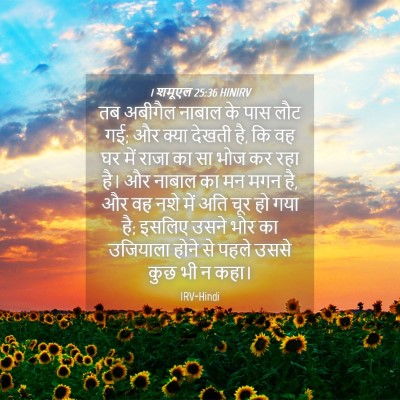 Picture 04 - 1 शमूएल 25:36 HINIRV - तब अबीगैल नाबाल के - Bible Verse Picture