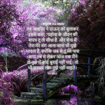 Picture 04 - 1 शमूएल 29:6 HINIRV - तब आकीश ने दाऊद को - Bible Verse Picture