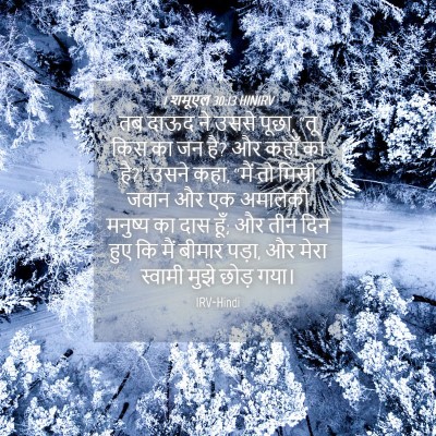 Picture 04 - 1 शमूएल 30:13 HINIRV - तब दाऊद ने उससे - Bible Verse Picture