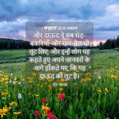 Picture 04 - 1 शमूएल 30:20 HINIRV - और दाऊद ने सब - Bible Verse Picture