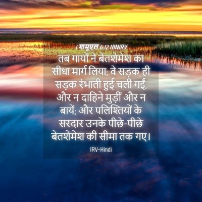 Picture 04 - 1 शमूएल 6:12 HINIRV - तब गायों ने - Bible Verse Picture