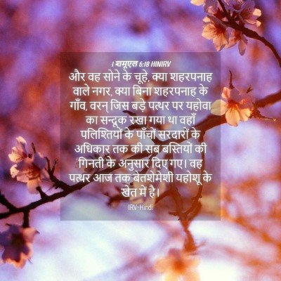 Picture 04 - 1 शमूएल 6:18 HINIRV - और वह सोने के चूहे, - Bible Verse Picture