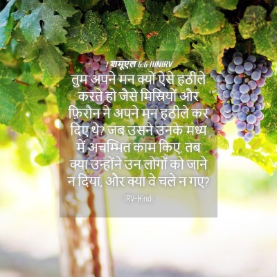 Picture 04 - 1 शमूएल 6:6 HINIRV - तुम अपने मन क्यों - Bible Verse Picture