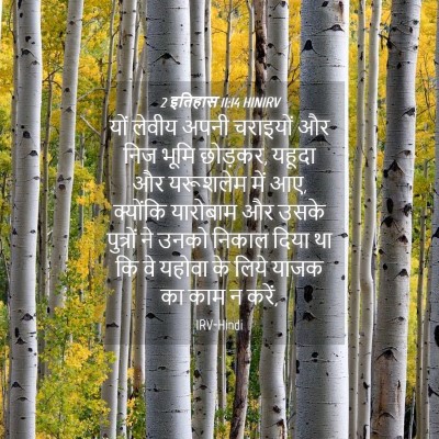 Picture 04 - 2 इतिहास 11:14 HINIRV - यों लेवीय अपनी - Bible Verse Picture