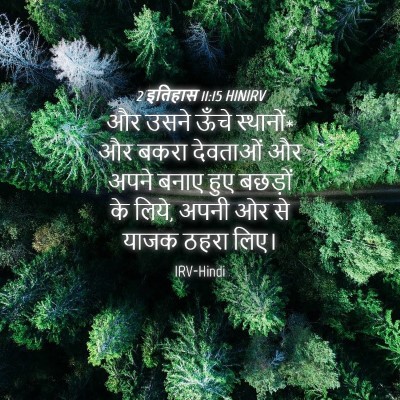 Picture 04 - 2 इतिहास 11:15 HINIRV - और उसने ऊँचे - Bible Verse Picture