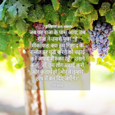Picture 04 - 2 इतिहास 18:14 HINIRV - जब वह राजा के पास - Bible Verse Picture