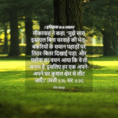 Picture 04 - 2 इतिहास 18:16 HINIRV - मीकायाह ने कहा, - Bible Verse Picture