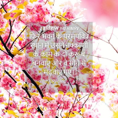 Picture 04 - 2 इतिहास 3:10 HINIRV - फिर भवन के - Bible Verse Picture