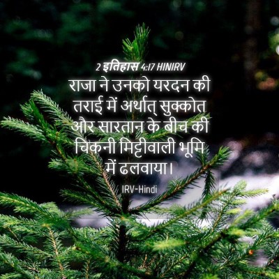 Picture 04 - 2 इतिहास 4:17 HINIRV - राजा ने उनको यरदन - Bible Verse Picture