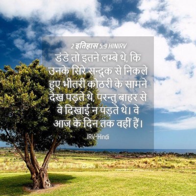 Picture 04 - 2 इतिहास 5:9 HINIRV - डंडे तो इतने लम्बे - Bible Verse Picture