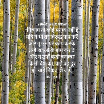 Picture 04 - 2 इतिहास 6:36 HINIRV - “निष्पाप तो कोई - Bible Verse Picture