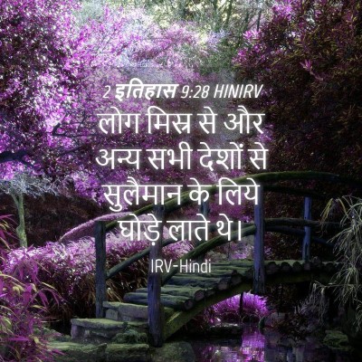 Picture 04 - 2 इतिहास 9:28 HINIRV - लोग मिस्र से और - Bible Verse Picture