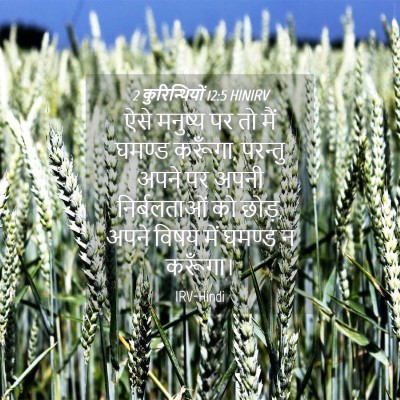 Picture 04 - 2 कुरिन्थियों 12:5 HINIRV - ऐसे मनुष्य पर तो - Bible Verse Picture