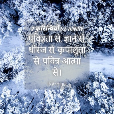Picture 04 - 2 कुरिन्थियों 6:6 HINIRV - पवित्रता से, ज्ञान - Bible Verse Picture