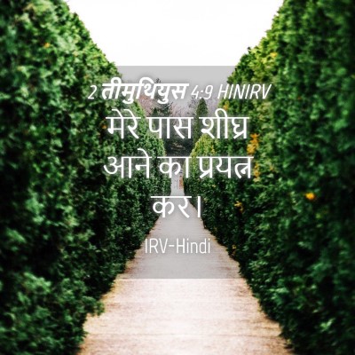 Picture 04 - 2 तीमुथियुस 4:9 HINIRV - मेरे पास शीघ्र आने - Bible Verse Picture