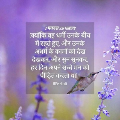 Picture 04 - 2 पतरस 2:8 HINIRV - (क्योंकि वह धर्मी - Bible Verse Picture