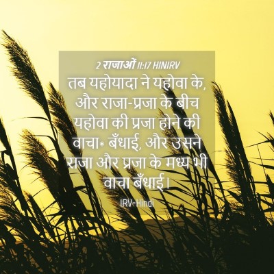 Picture 04 - 2 राजाओं 11:17 HINIRV - तब यहोयादा ने - Bible Verse Picture