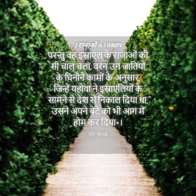 Picture 04 - 2 राजाओं 16:3 HINIRV - परन्तु वह इस्राएल - Bible Verse Picture