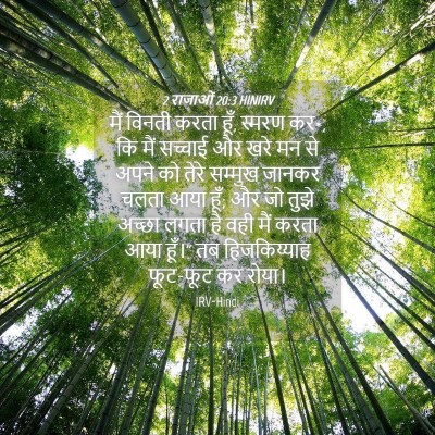 Picture 04 - 2 राजाओं 20:3 HINIRV - मैं विनती करता हूँ, - Bible Verse Picture
