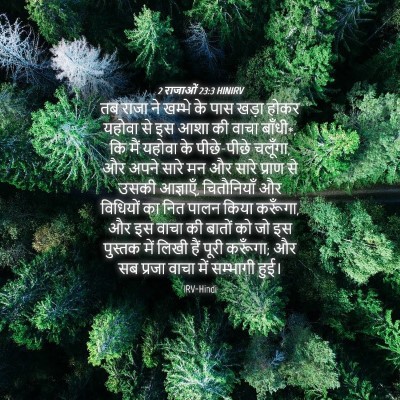 Picture 04 - 2 राजाओं 23:3 HINIRV - तब राजा ने खम्भे के - Bible Verse Picture