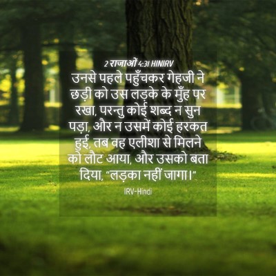 Picture 04 - 2 राजाओं 4:31 HINIRV - उनसे पहले पहुँचकर - Bible Verse Picture