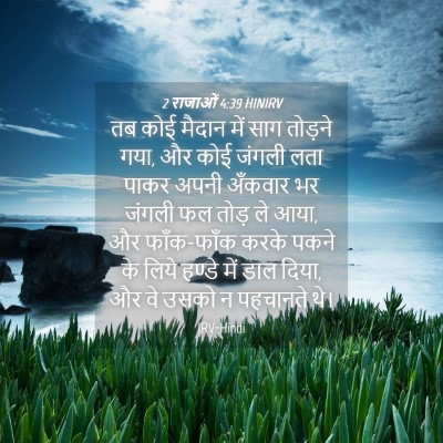 Picture 04 - 2 राजाओं 4:39 HINIRV - तब कोई मैदान में - Bible Verse Picture