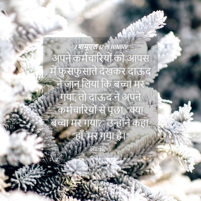 Picture 04 - 2 शमूएल 12:19 HINIRV - अपने कर्मचारियों - Bible Verse Picture