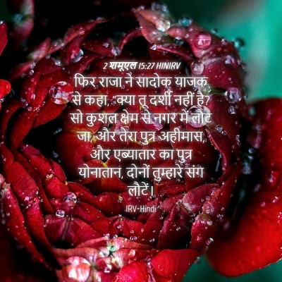 Picture 04 - 2 शमूएल 15:27 HINIRV - फिर राजा ने सादोक - Bible Verse Picture