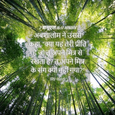 Picture 04 - 2 शमूएल 16:17 HINIRV - अबशालोम ने उससे - Bible Verse Picture