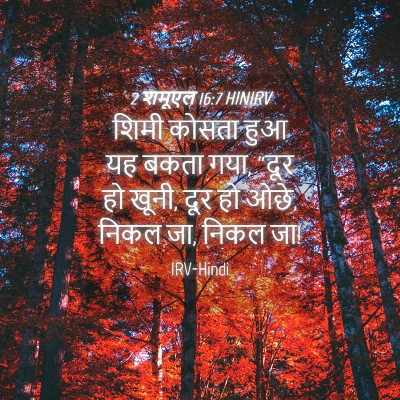 Picture 04 - 2 शमूएल 16:7 HINIRV - शिमी कोसता हुआ यह - Bible Verse Picture