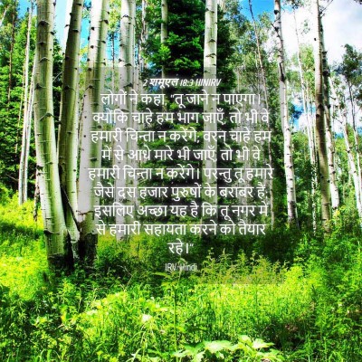 Picture 04 - 2 शमूएल 18:3 HINIRV - लोगों ने कहा, “तू - Bible Verse Picture