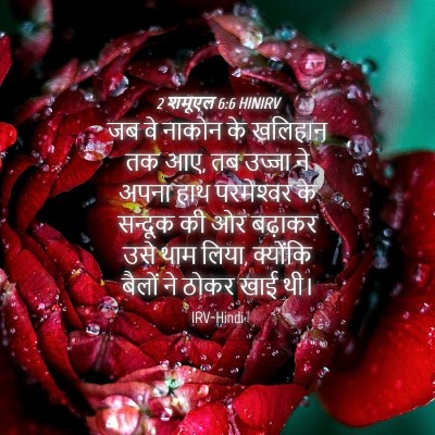Picture 04 - 2 शमूएल 6:6 HINIRV - जब वे नाकोन के - Bible Verse Picture