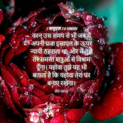 Picture 04 - 2 शमूएल 7:11 HINIRV - वरन् उस समय से भी - Bible Verse Picture
