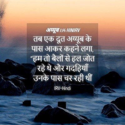 Picture 04 - अय्यूब 1:14 HINIRV - तब एक दूत अय्यूब के - Bible Verse Picture